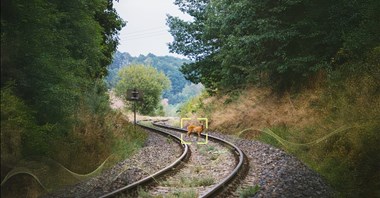 Alstom oganiczy kolizje ze zwierzętami? Testy trwają
