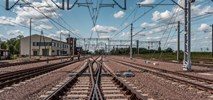 PLK będą analizowały elektryfikacje. Na liście Wągrowiec, Kołobrzeg czy Gorzów