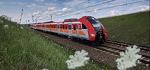 Dzień Dziecka z POLREGIO: Wspólne podróże w niższej cenie i pikniki tematyczne w regionach