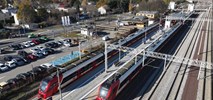 PLK: Posadzimy drzewa przy linii otwockiej 