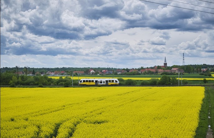 Dolnośląski Bilet Weekendowy - wyrusz w trasę z Kolejami Dolnośląskimi 