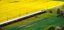 PKP Intercity dokłada kursy Nieśpiesznego. Dokąd?