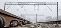Pomorze. Drzewo na torach, bez pociągów pomiędzy Słupskiem a Ustką