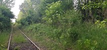 Śląskie: Jaka przyszłość linii 192 Syrynia – Pszów? 