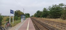 Podkarpackie: Nowe pociągi do Sandomierza raczej po 2031 r. 