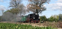 Gnieźnieńska wąskotorówka: Pociągi letnie znów tylko do Jelonka 