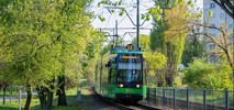 MPK Poznań kupi co najmniej 22 tramwaje z Bonn. Jeżdżą już 3