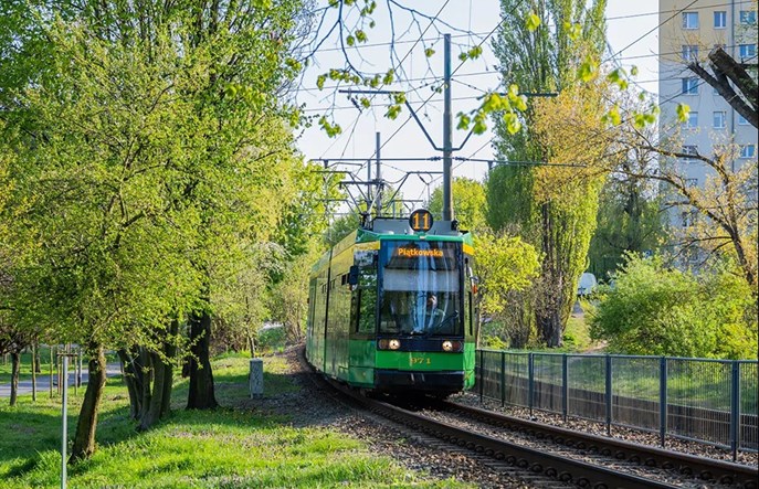 MPK Poznań kupi co najmniej 22 tramwaje z Bonn. Jeżdżą już 3