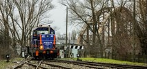 Lubuskie: Odwołania pociągów PKP IC Gorzów Wlkp. – Zbąszynek 