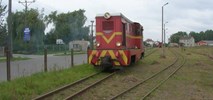 Mazowieckie: Bez wsparcia państwa wąskotorówki będą tylko atrakcją turystyczną 