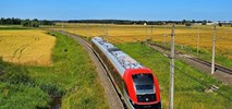 Massel: Rozbudujmy polską infrastrukturę doświadczalną. Nie tylko tor w Żmigrodzie