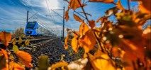 Koleje Śląskie: Od września więcej pociągów, w tym z Bytomia do Gliwic