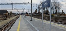 Mazowieckie planuje pociągi przyspieszone i nocne do Pilawy i Dęblina 