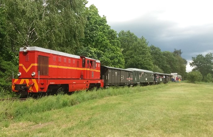 PLK wsparły sześciu operatorów wąskotorówek 
