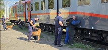 Łódź: policjanci i SOK z psami ćwiczyli w pociągach POLREGIO