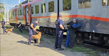 Łódź: policjanci i SOK z psami ćwiczyli w pociągach POLREGIO