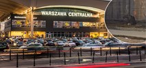 Łoś na torach kolejowych, sparaliżował ruch na stacji Warszawa Centralna 