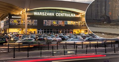 Łoś na torach kolejowych, sparaliżował ruch na stacji Warszawa Centralna 