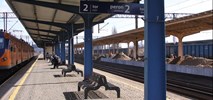 Piła: PKP PLK zmodernizują perony i wydłużą tunel na stacji