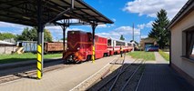Świętokrzyskie: Gmina Raków chce przejąć grunty wąskotorówki 
