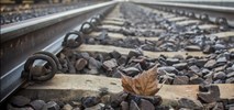 Padew Narodowa: Jest nowy przystanek i stacja techniczna  