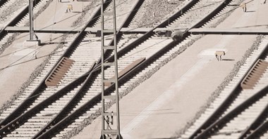 TINES Rail dołącza do Grupy Track Tec 