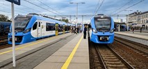 Coraz więcej pasażerów Kolei Śląskich podróżuje ze zwierzętami