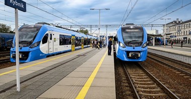 Coraz więcej pasażerów Kolei Śląskich podróżuje ze zwierzętami
