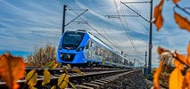 Koleje Śląskie: Pasażerowie dybią na rydza