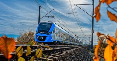 Koleje Śląskie: Pasażerowie dybią na rydza