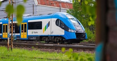 13 firm chce modernizować linię 169