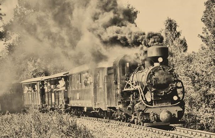 Wolontariusze ratują Kolej Rogowską