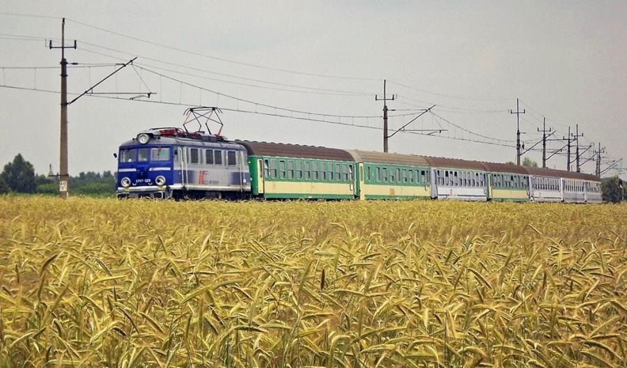 Stomma: PKP Intercity brakuje 200 mln zł Stomma: PKP Intercity brakuje 200 mln zł