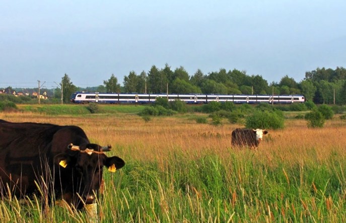 Czerwcowa korekta rozkładu jazdy – nowe przystanki PKP IC