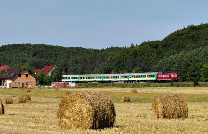 Mamiński: Przewozy Regionalne wyjdą na plus już w tym roku