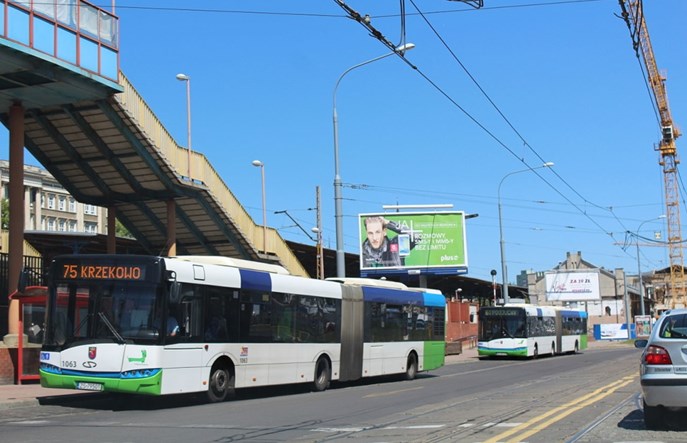 Szczecin szuka przewoźnika na linie na żądanie