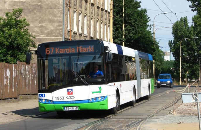 Szczecin z jedną ofertą na hybrydy. Autobusy z miejscem dla psa