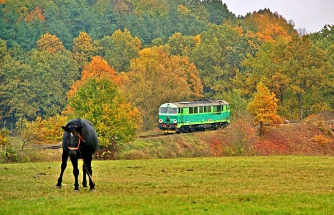 Grunty PKP wyjęte spod prawa