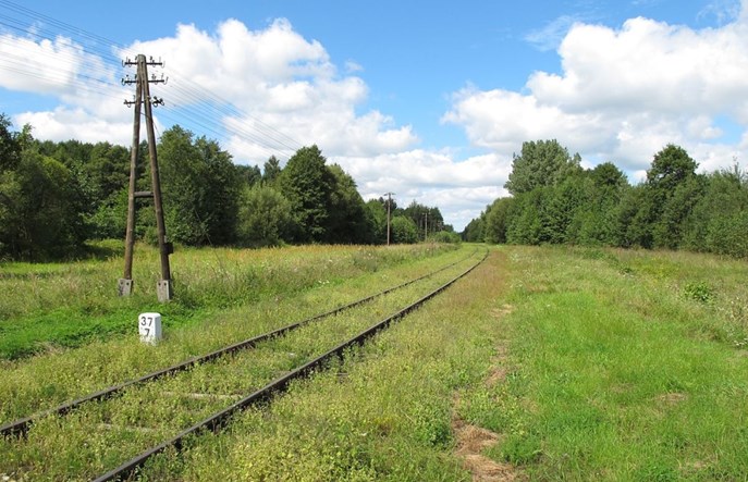 Torpol z kontraktem na drugą część objazdu na Podlasiu