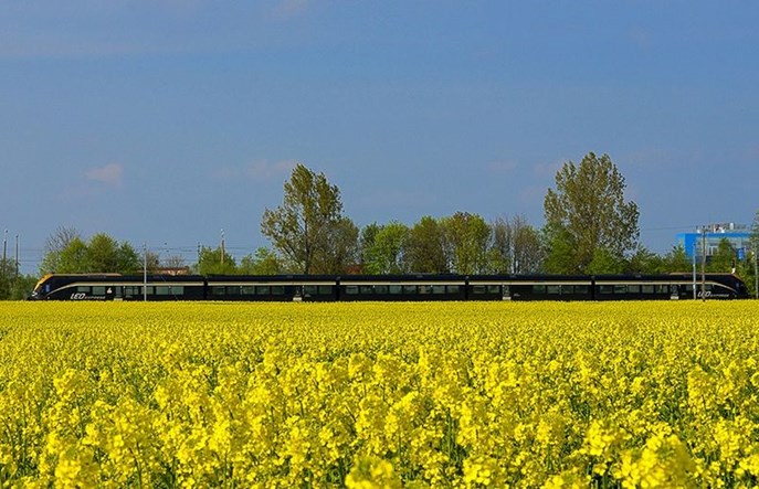 Leo Express chce uczestniczyć we wspólnym bilecie