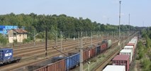 Łódź – Chengdu: Porozumienie stref ekonomicznych. Terminal raczej nie na Chojnach