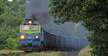 Rzońca: PKP Cargo brakuje wagonów, a w krzakach stoi ich 30 tysięcy