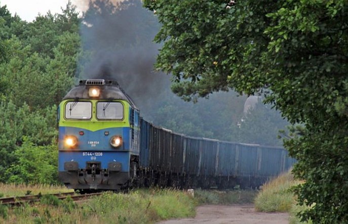 Rzońca: PKP Cargo brakuje wagonów, a w krzakach stoi ich 30 tysięcy