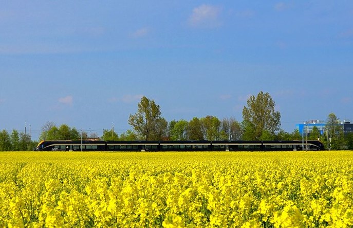Leo Express nie ruszy w grudniu. „Wstrzymują nas ostatnie drobnostki”
