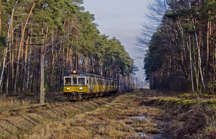 Koleje Dolnośląskie w Koleo