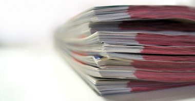 W zamówieniach publicznych nie warto kłamać 