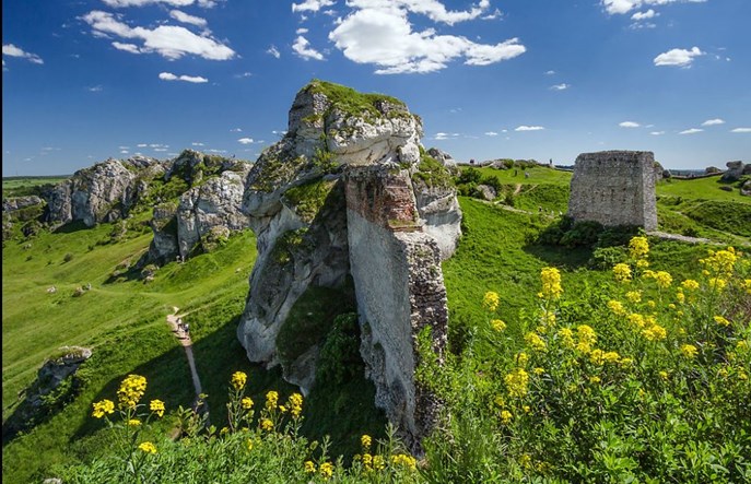 Nową koleją transjurajską do Olkusza? Są pieniądze na studium