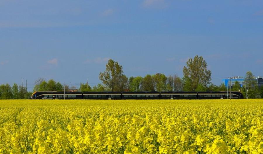 Leo Express już w rozkładzie sieciowym PLK. Termin startu jeszcze nieoficjalny Leo Express już w rozkładzie sieciowym PLK. Termin startu jeszcze nieoficjalny