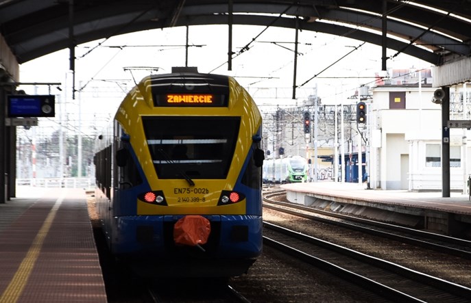 1 lipca pies w Kolejach Śląskich jedzie za darmo