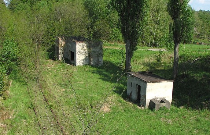 Jastrzębie-Zdrój odzyska kolej? 